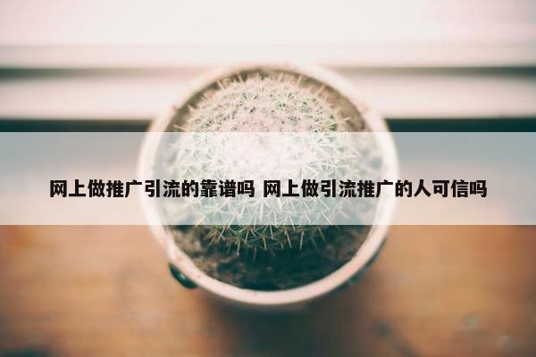 网上做推广引流的靠谱吗 网上做引流推广的人可信吗