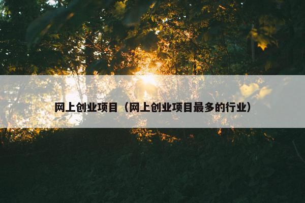 网上创业项目（网上创业项目最多的行业）