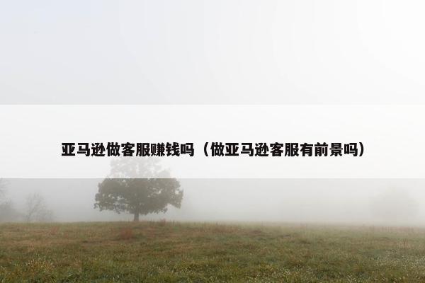 亚马逊做客服赚钱吗（做亚马逊客服有前景吗）