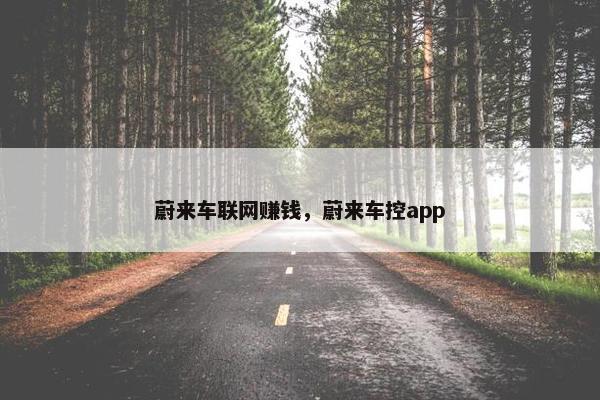 蔚来车联网赚钱，蔚来车控app