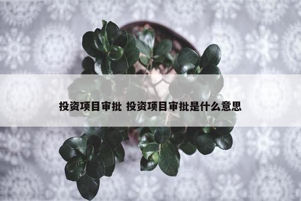 投资项目审批 投资项目审批是什么意思