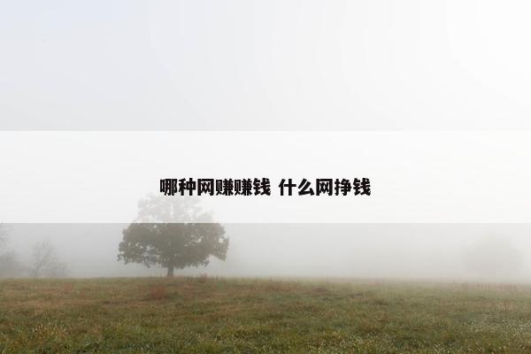 哪种网赚赚钱 什么网挣钱