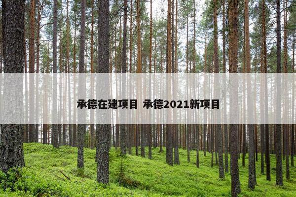 承德在建项目 承德2021新项目