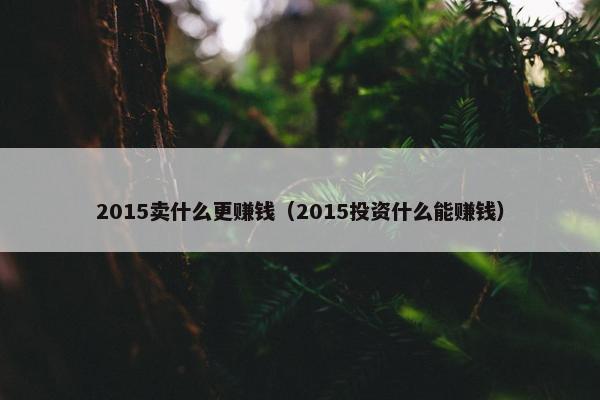 2015卖什么更赚钱（2015投资什么能赚钱）