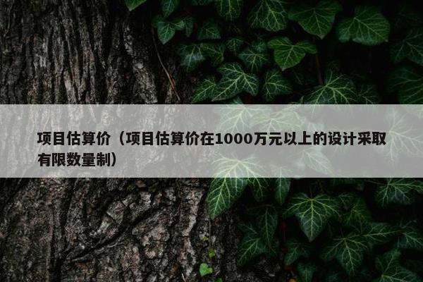 项目估算价（项目估算价在1000万元以上的设计采取有限数量制）