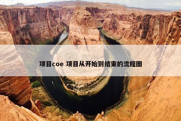 项目coe 项目从开始到结束的流程图