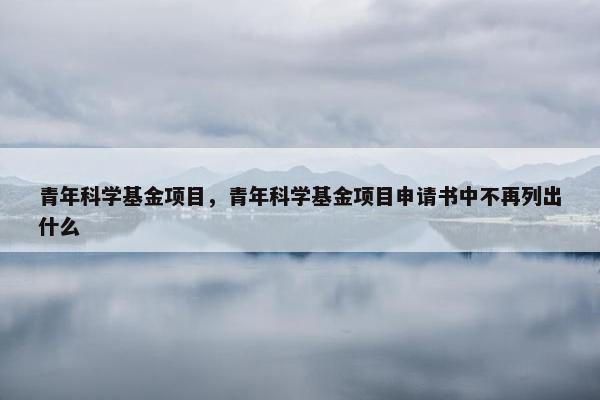 青年科学基金项目，青年科学基金项目申请书中不再列出什么