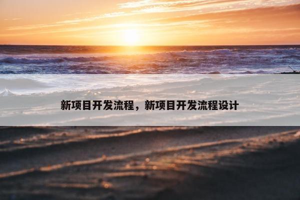 新项目开发流程，新项目开发流程设计