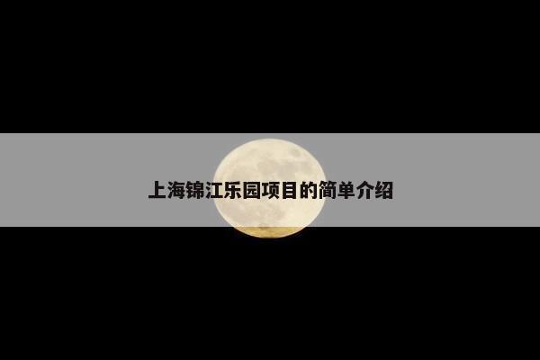 上海锦江乐园项目的简单介绍