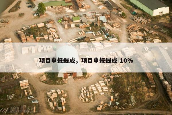 项目申报提成，项目申报提成 10%