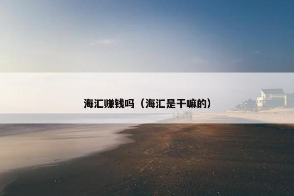 海汇赚钱吗（海汇是干嘛的）