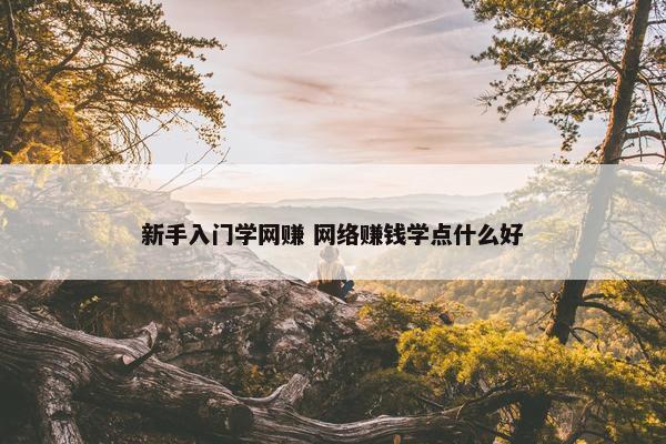 新手入门学网赚 网络赚钱学点什么好