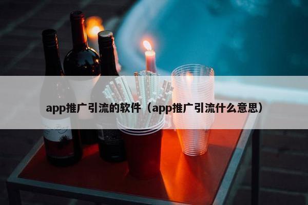 app推广引流的软件（app推广引流什么意思）