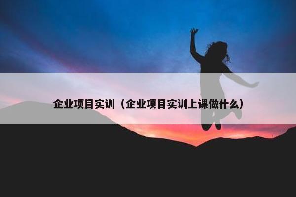 企业项目实训（企业项目实训上课做什么）