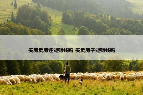 买房卖房还能赚钱吗 买卖房子能赚钱吗