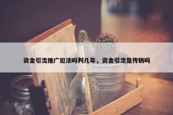 资金引流推广犯法吗判几年，资金引流是传销吗