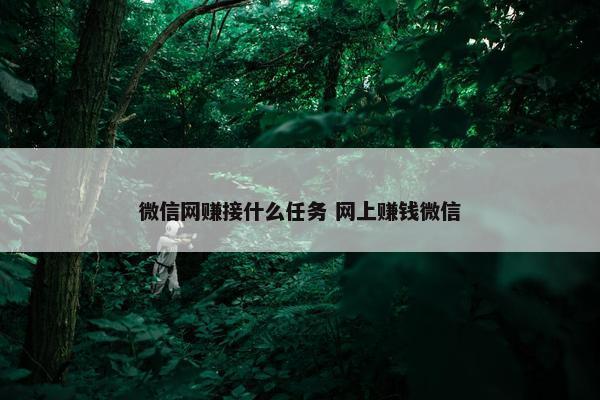 微信网赚接什么任务 网上赚钱微信