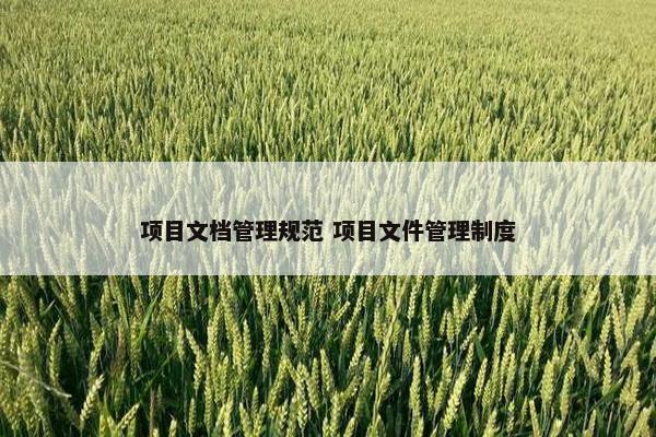 项目文档管理规范 项目文件管理制度