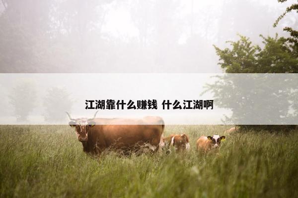 江湖靠什么赚钱 什么江湖啊