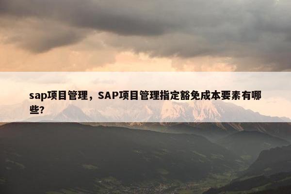 sap项目管理，SAP项目管理指定豁免成本要素有哪些?