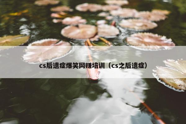 cs后遗症爆笑网赚培训（cs之后遗症）