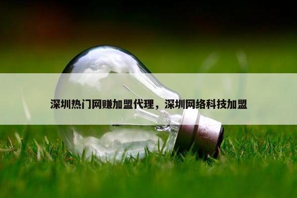 深圳热门网赚加盟代理，深圳网络科技加盟