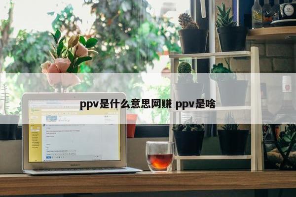 ppv是什么意思网赚 ppv是啥