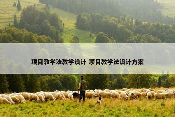 项目教学法教学设计 项目教学法设计方案