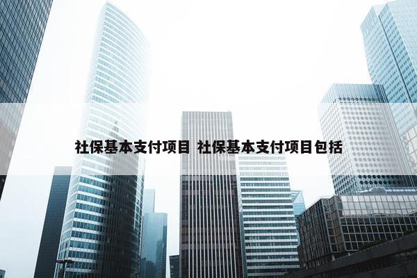 社保基本支付项目 社保基本支付项目包括