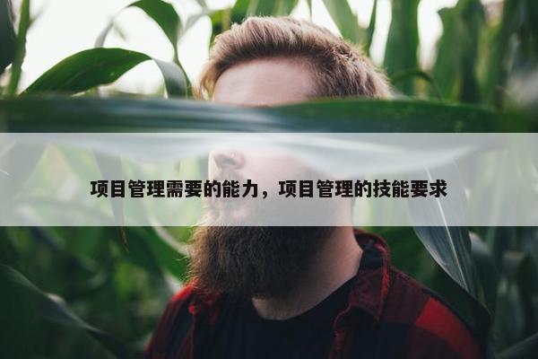 项目管理需要的能力，项目管理的技能要求