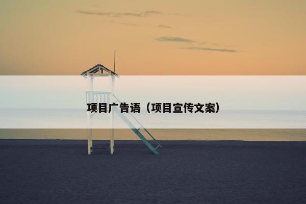 项目广告语（项目宣传文案）