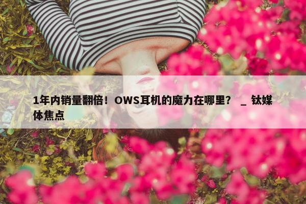 1年内销量翻倍！OWS耳机的魔力在哪里？ _ 钛媒体焦点