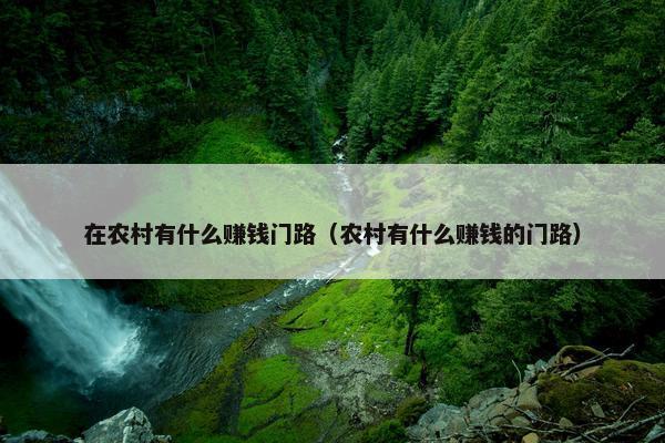 在农村有什么赚钱门路（农村有什么赚钱的门路）