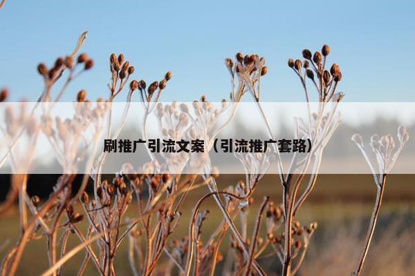 刷推广引流文案（引流推广套路）