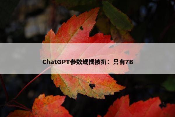 ChatGPT参数规模被扒：只有7B