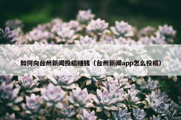 如何向台州新闻投稿赚钱（台州新闻app怎么投稿）