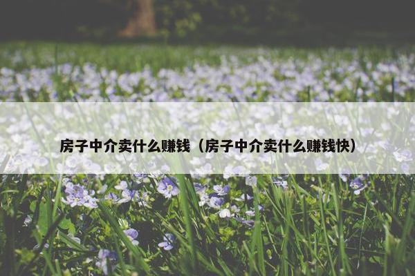 房子中介卖什么赚钱（房子中介卖什么赚钱快）