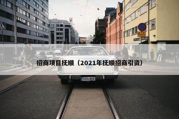 招商项目抚顺（2021年抚顺招商引资）