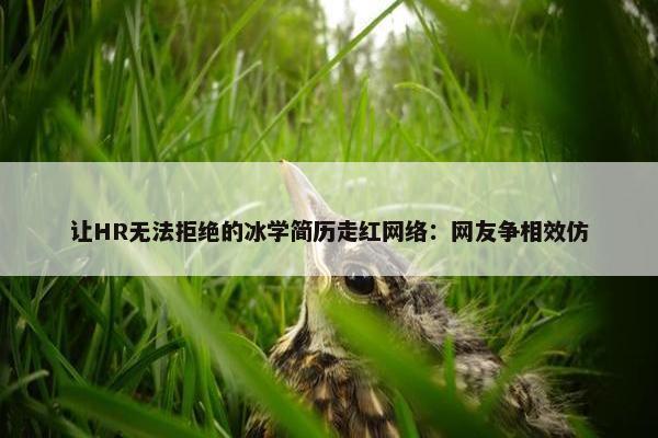 让HR无法拒绝的冰学简历走红网络：网友争相效仿