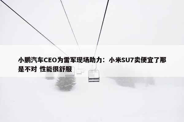 小鹏汽车CEO为雷军现场助力：小米SU7卖便宜了那是不对 性能很舒服