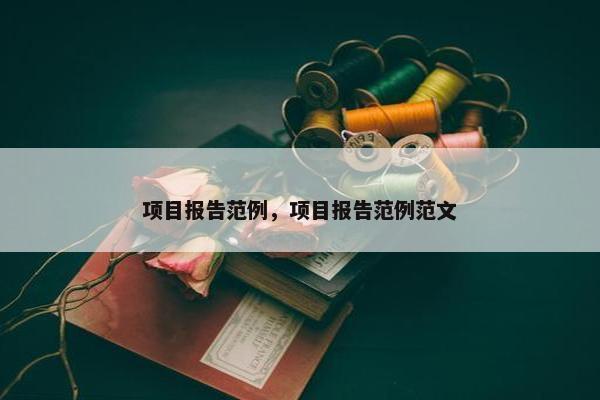 项目报告范例，项目报告范例范文