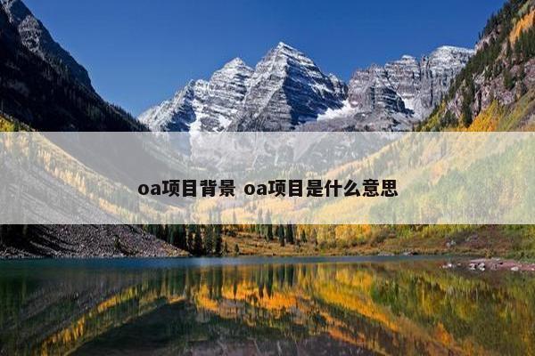 oa项目背景 oa项目是什么意思