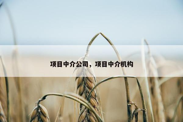 项目中介公司，项目中介机构