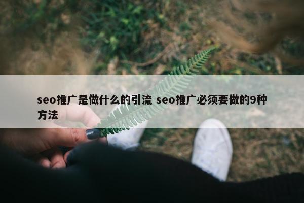 seo推广是做什么的引流 seo推广必须要做的9种方法