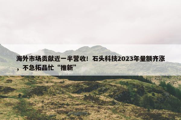 海外市场贡献近一半营收！石头科技2023年量额齐涨，不急拓品忙“推新”