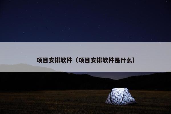 项目安排软件（项目安排软件是什么）