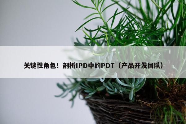 关键性角色！剖析IPD中的PDT（产品开发团队）