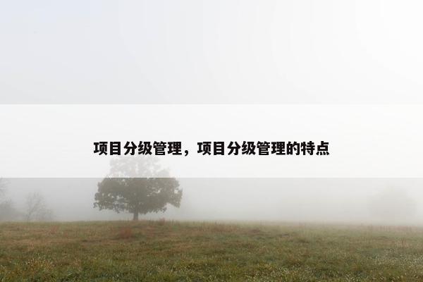 项目分级管理，项目分级管理的特点