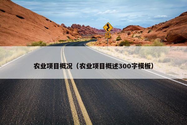 农业项目概况（农业项目概述300字模板）