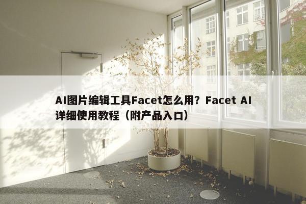 AI图片编辑工具Facet怎么用？Facet AI详细使用教程（附产品入口）